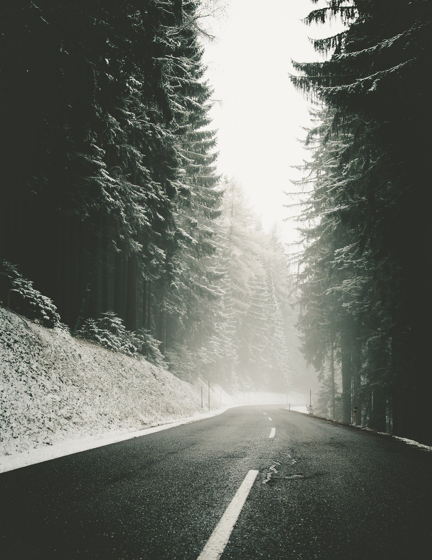 Snowy Mountain Road