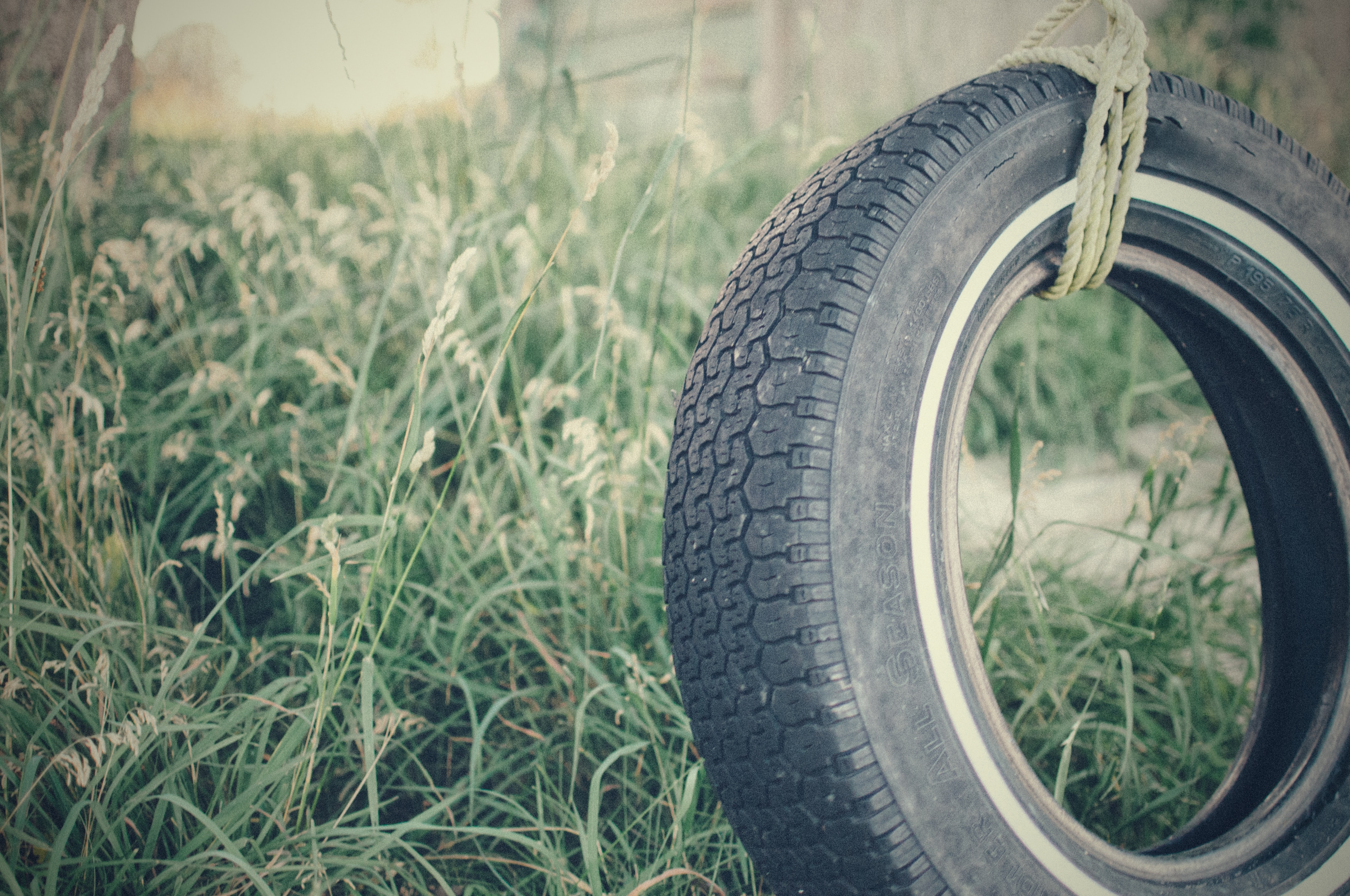 Tire Swing